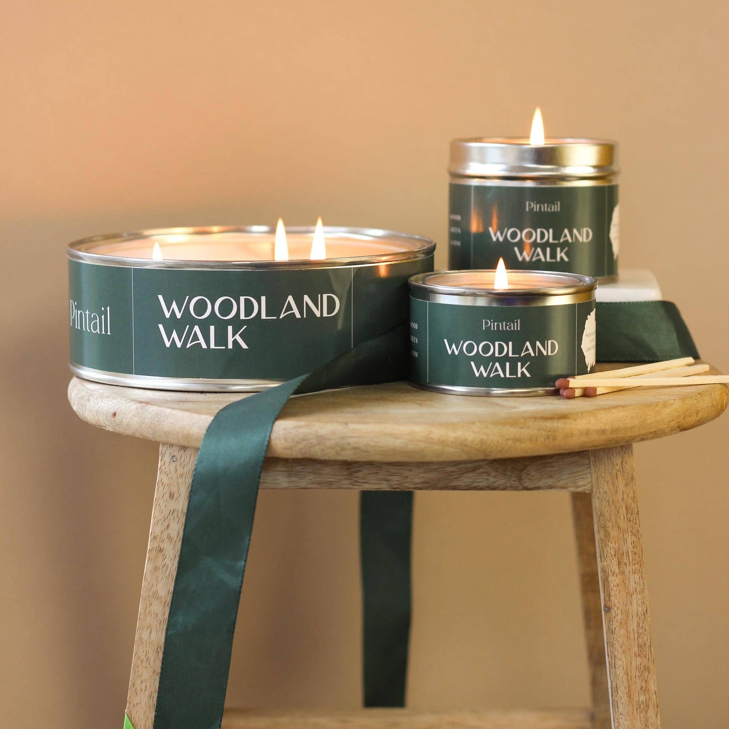 Pintail Candles | Avalon Home - Woodland Walk Classic Tin Candle (Pack of 6)