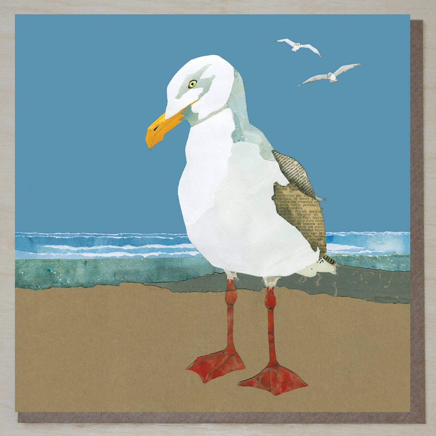 Windsock Press - Herring Gull Card (British Birds)